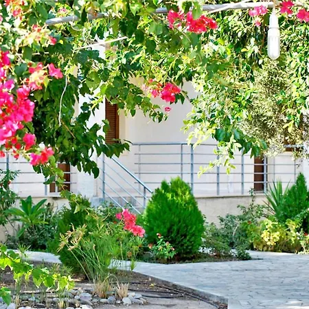 Chouzourakis Apartment